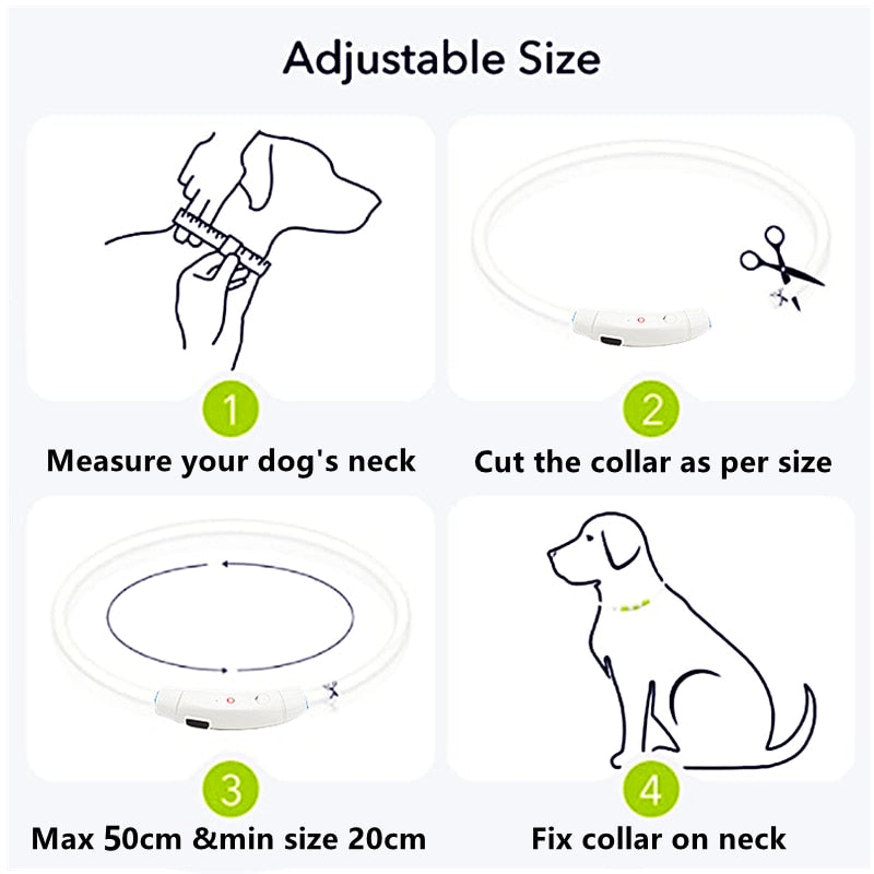 LED Pet Collar Light - USB Charging - Home Items Direct