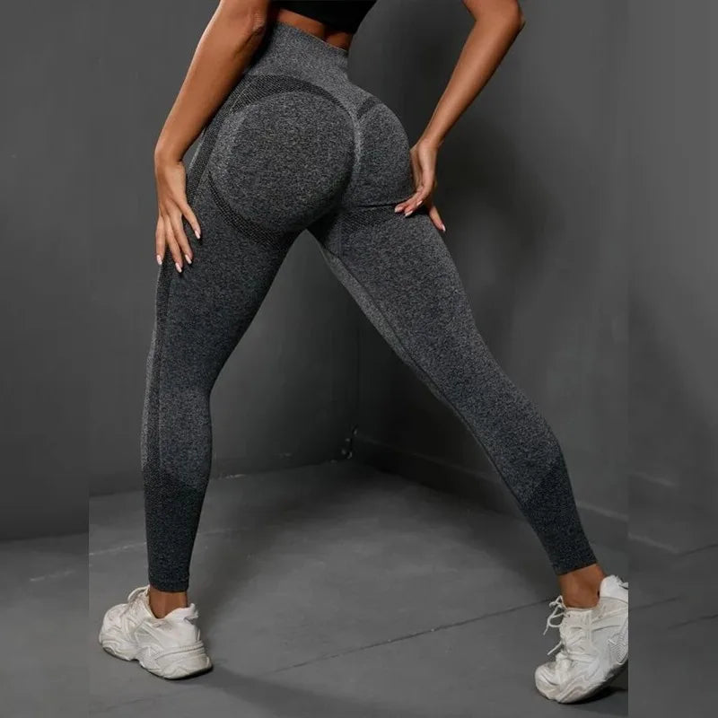 Seamless Fitness Leggings - Home Items Direct