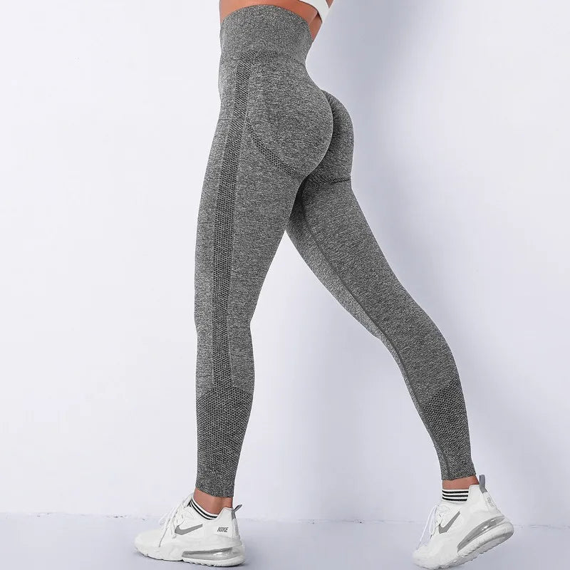 Seamless Fitness Leggings - Home Items Direct