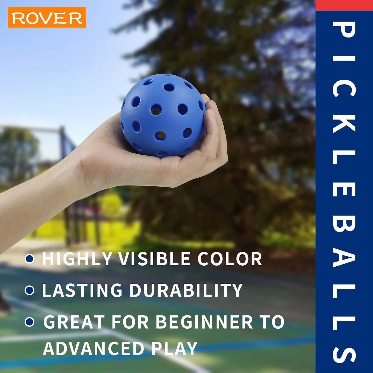 6 Pickleballs - Home Items Direct