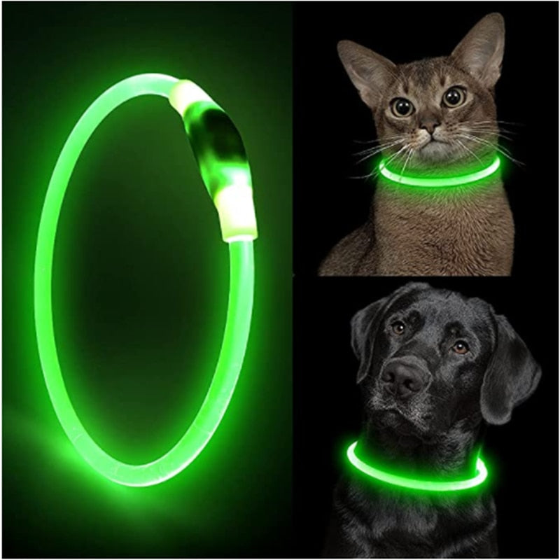 LED Pet Collar Light - USB Charging - Home Items Direct