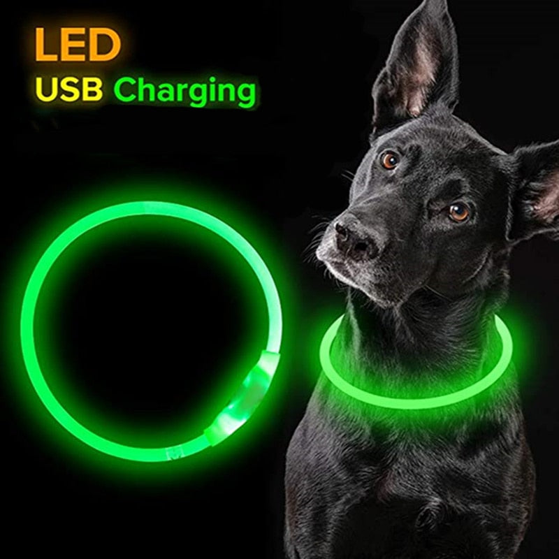 LED Pet Collar Light - USB Charging - Home Items Direct