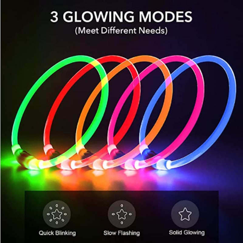 LED Pet Collar Light - USB Charging - Home Items Direct