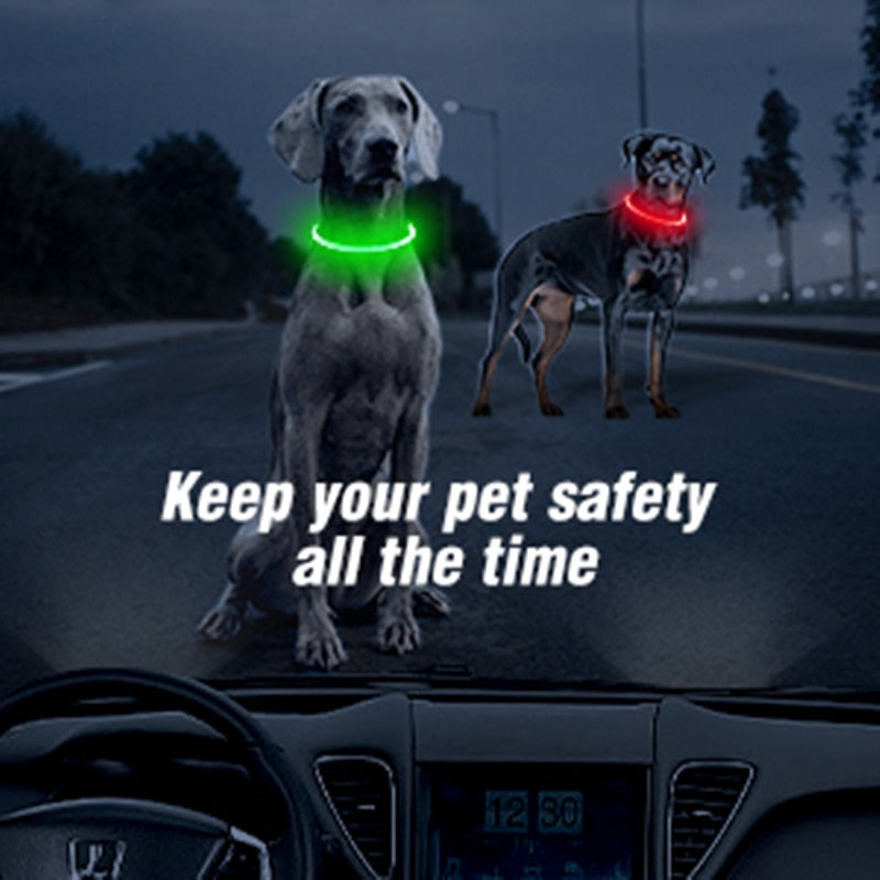 LED Pet Collar Light - USB Charging - Home Items Direct